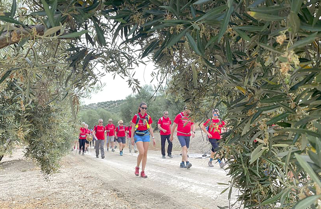Ya estn abiertas las inscripciones para la ltima etapa del Camino Eulaliense